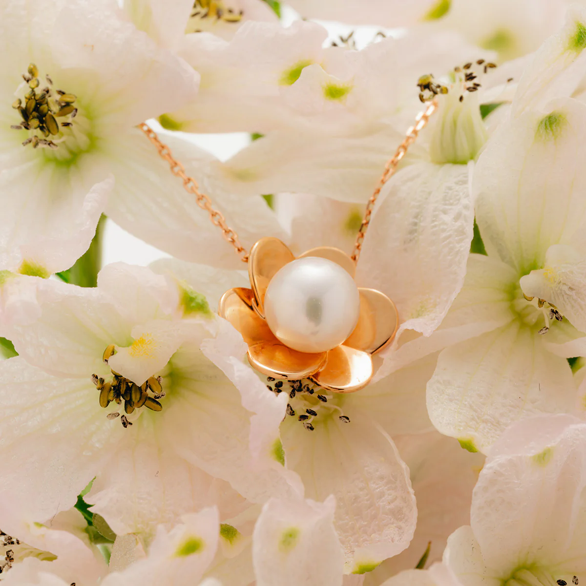 Freshwater Pearl 10K 14K Rose Gold Bloom Dew Necklace - Image 3